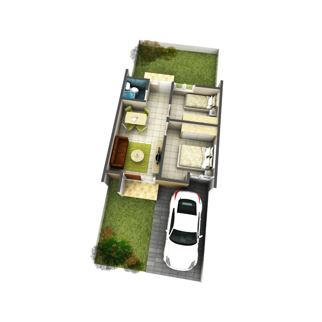 Layout Livistona Palm